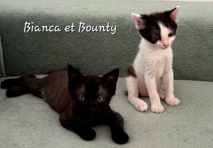Bianca et Bounty